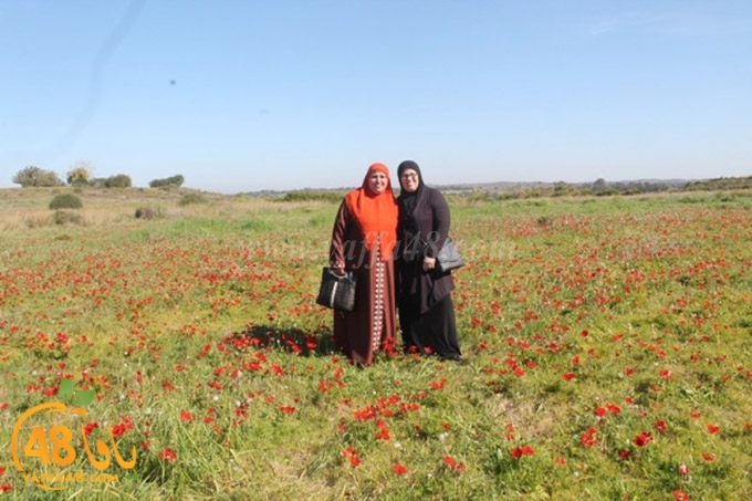 re7la janob (10).JPG